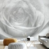High Key Mural – Rose