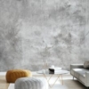 Grungy Rough Concrete Wall Mural