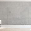 Exposed Concrete Wall Mural - Image 3