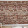 Old Ruff Brick Wall Mural