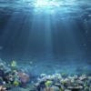 Underwater Scene Mural - Image 2