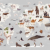 World of Animals Map - Image 2
