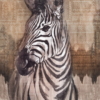 Zebra Wallmural ( 200 x 250 cm) - Image 2