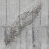 Concrete Feather Wallmural ( 350 x 250 cm) - Image 2