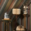 Carousel Stripe - Image 11