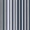 Carousel Stripe - Image 4
