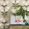 ANGELS TRUMPET