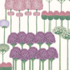 ALLIUM - Image 2