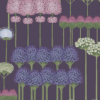ALLIUM - Image 6