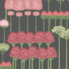 ALLIUM - Image 8