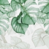 Big Botanical Leaf Wallpaper Wallmural - Image 5