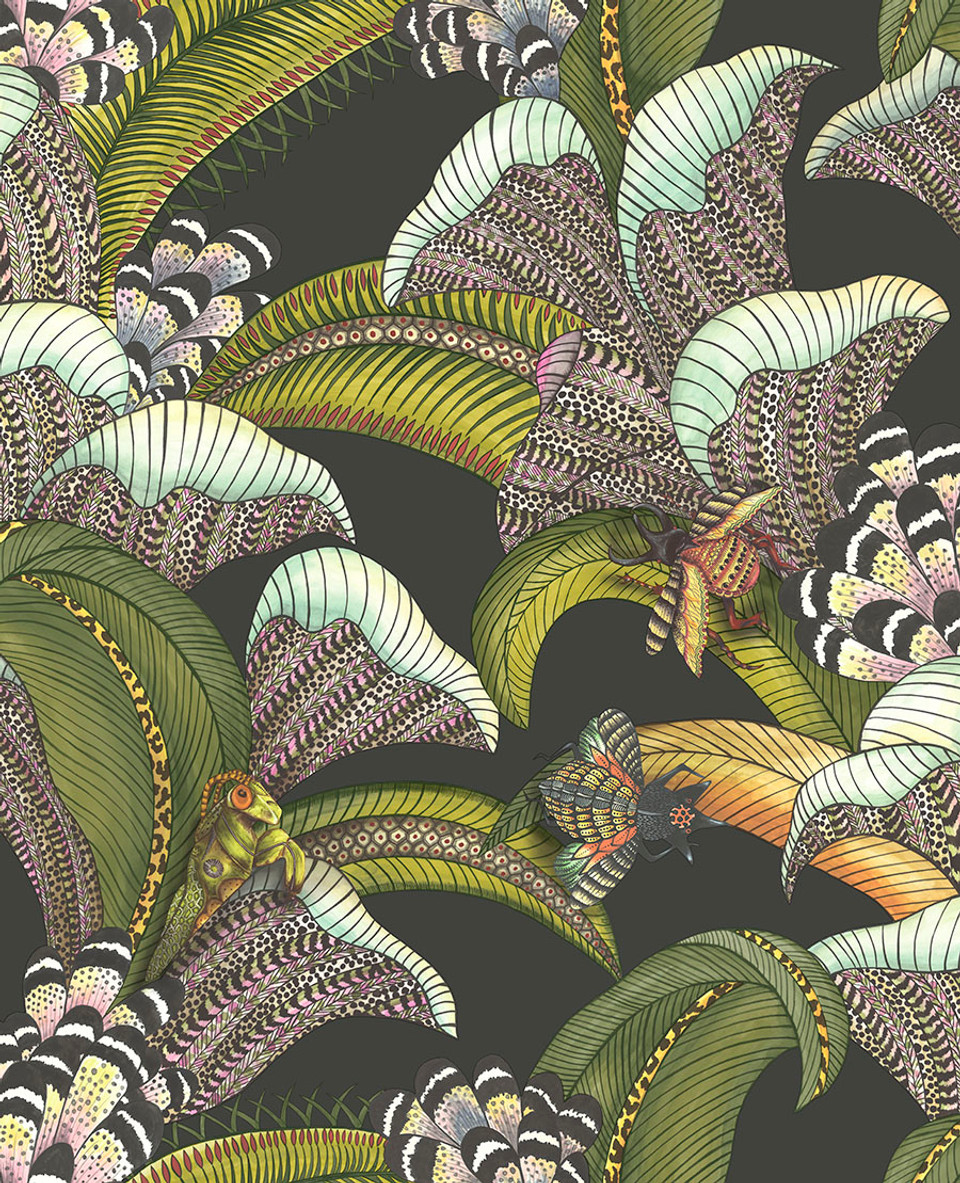 HOOPOE LEAVES - Image 6