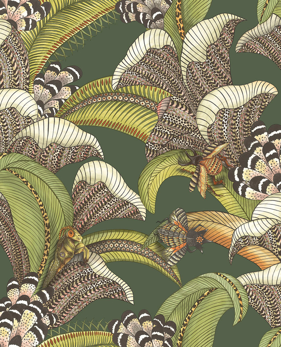 HOOPOE LEAVES - Image 15