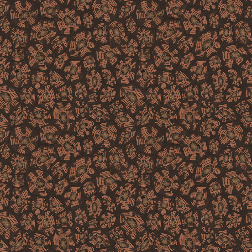 SAVANNA SHELL - Image 3