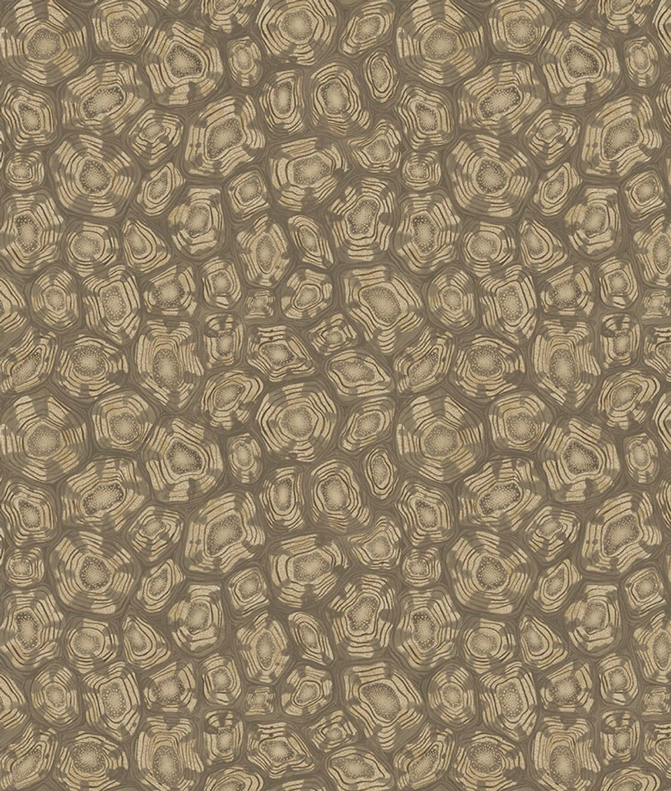 SAVANNA SHELL - Image 8