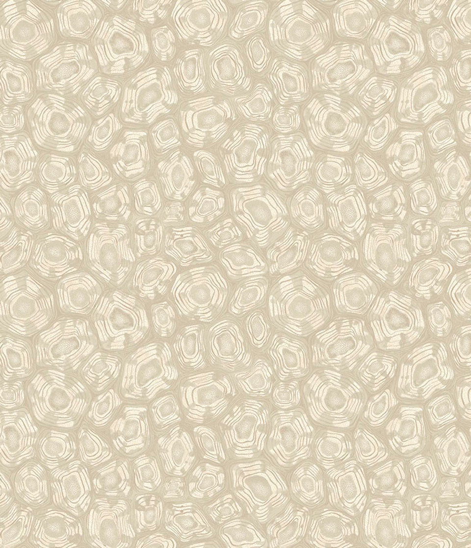 SAVANNA SHELL - Image 10