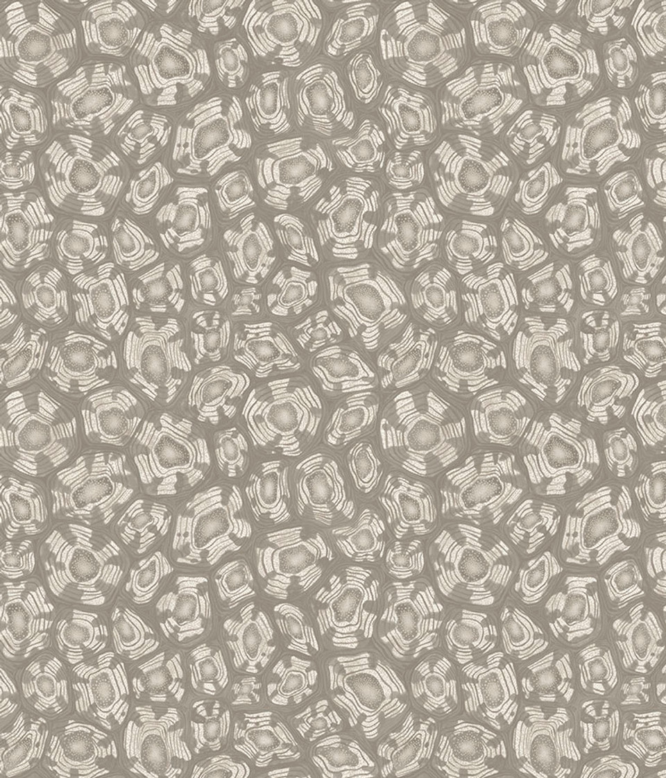 SAVANNA SHELL - Image 12