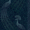 PAVO PARADE - Image 4