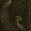 PAVO PARADE - Image 2
