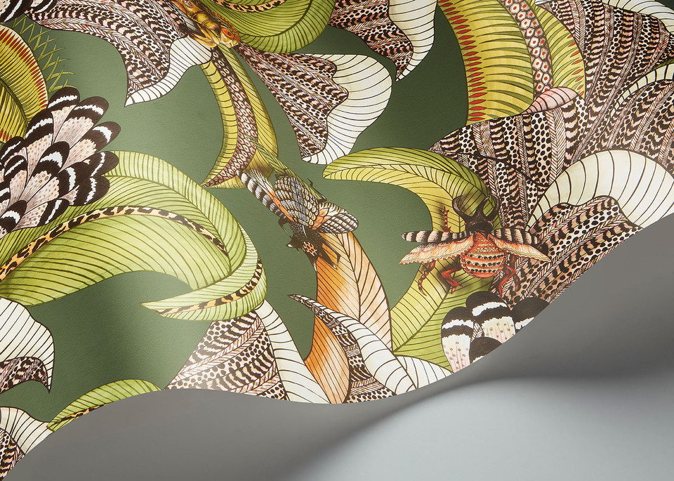 HOOPOE LEAVES - Image 16