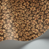 SAVANNA SHELL - Image 7