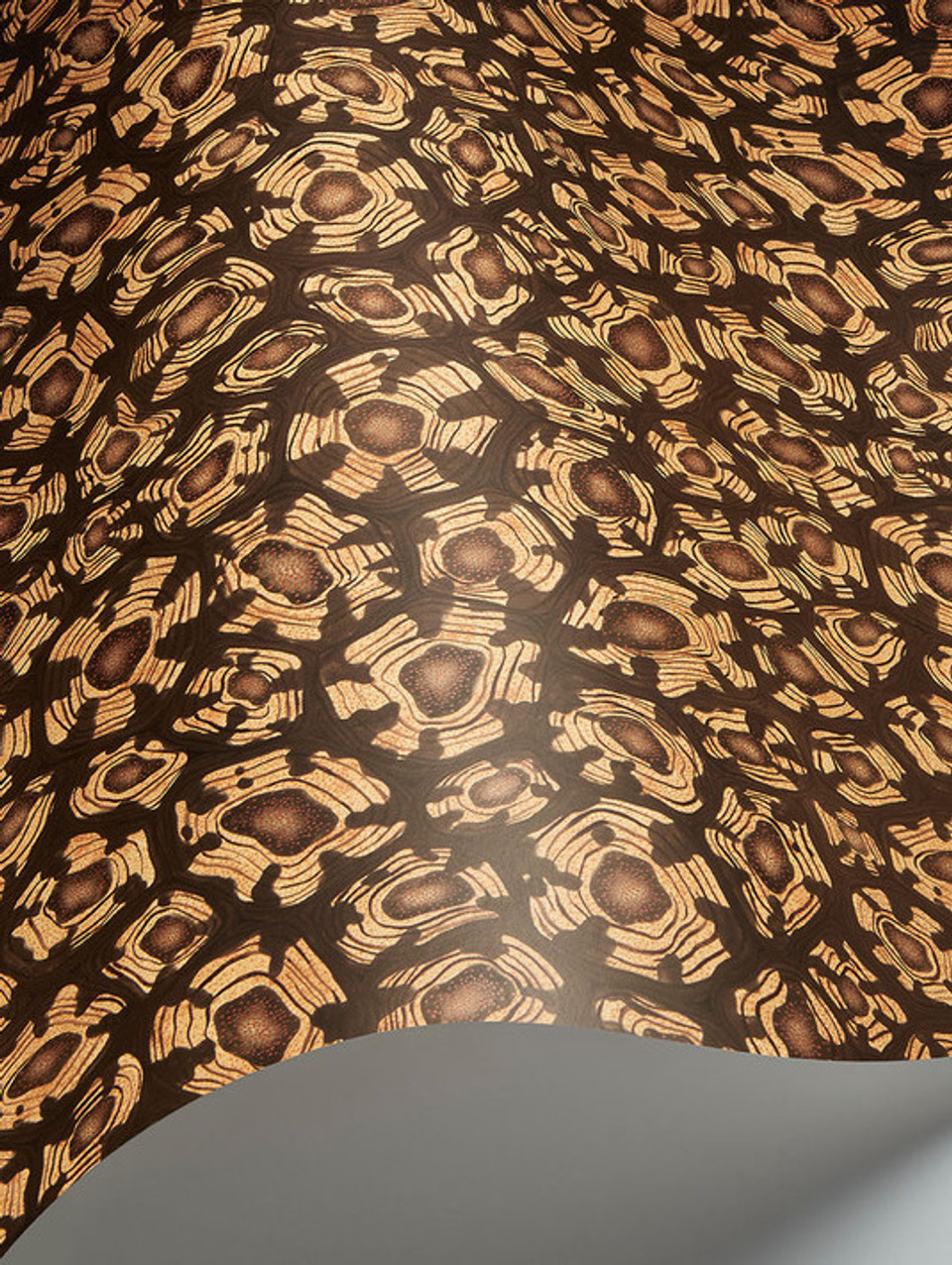 SAVANNA SHELL - Image 6