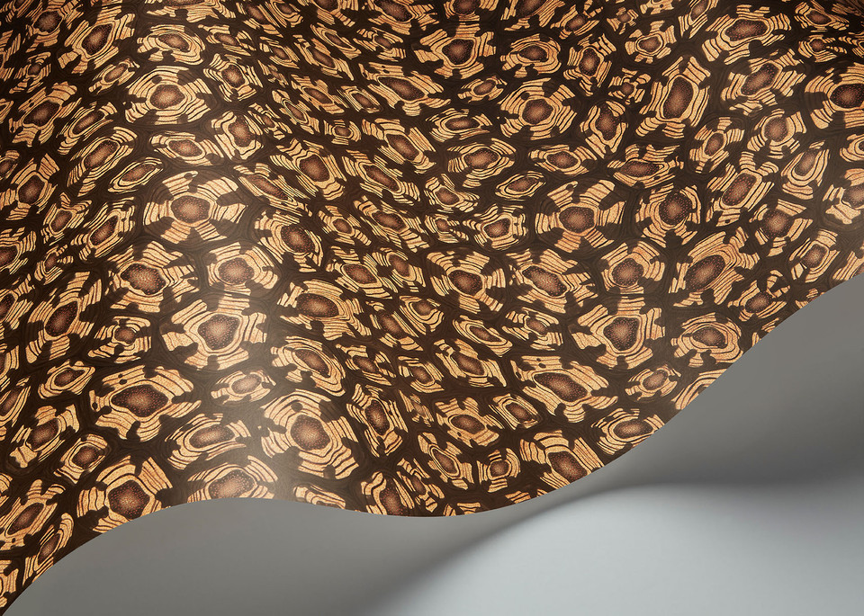 SAVANNA SHELL - Image 7