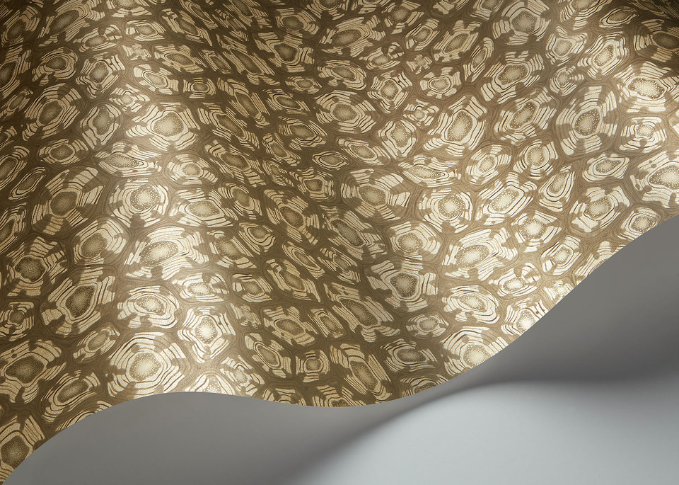 SAVANNA SHELL - Image 9