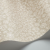 SAVANNA SHELL - Image 11