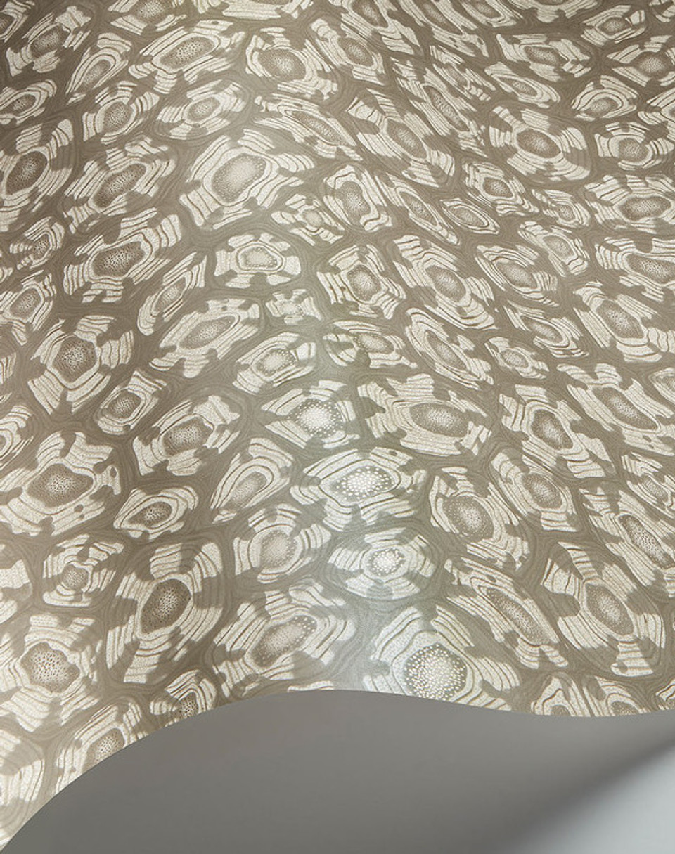 SAVANNA SHELL - Image 13
