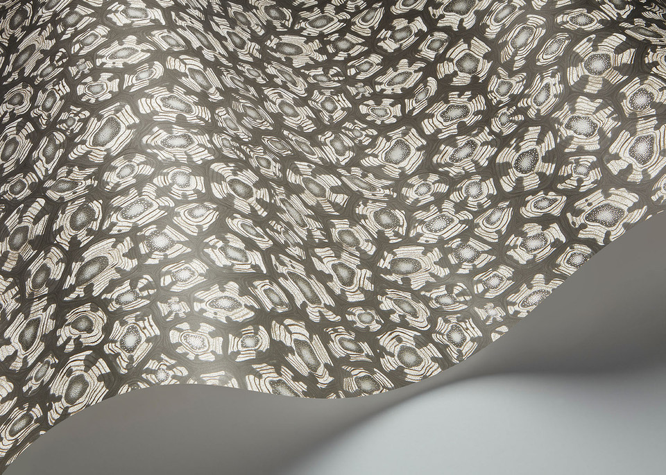 SAVANNA SHELL - Image 15