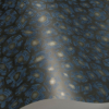 SAVANNA SHELL - Image 18