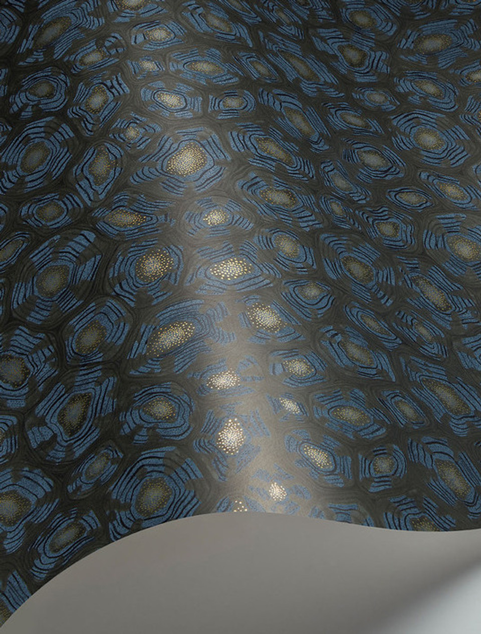 SAVANNA SHELL - Image 18