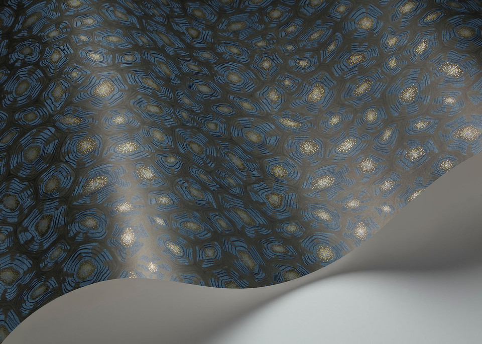 SAVANNA SHELL - Image 19