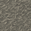 COLUMBUS - Image 4
