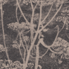 COW PARSLEY - Image 6