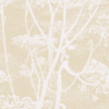 COW PARSLEY - Image 8