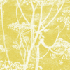 COW PARSLEY - Image 2
