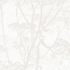 COW PARSLEY - Image 17
