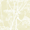 COW PARSLEY - Image 19