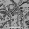 Croissances Monochrome Wallmural - Image 3