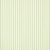 NEW TIGER STRIPE - Image 2