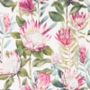 KING PROTEA - Image 3