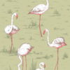 FLAMINGOS ICONS - Image 5