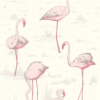 FLAMINGOS - Image 12