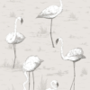 FLAMINGOS - Image 11