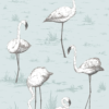 FLAMINGOS - Image 10