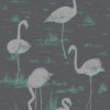 FLAMINGOS - Image 9