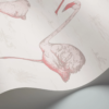 FLAMINGOS - Image 5