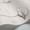 FLAMINGOS - Image 4